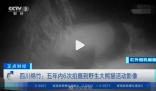 野生大熊貓用屁股蹭了蹭紅外相機 始料未及真相簡直太意外了