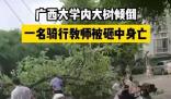 校方回應(yīng)教師被樹砸中身亡 原因竟是這樣實(shí)在是太意外了