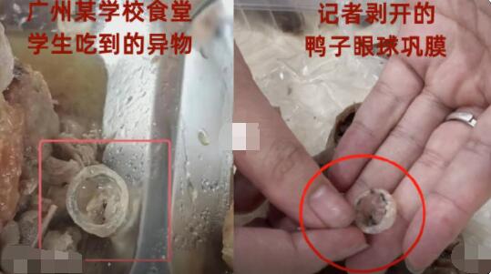 記者解剖鴨頭剝出鞏膜:反光質感 到底是什么情況?
