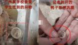 異物是鴨眼鞏膜?記者解剖多個鴨頭 真相揭秘直接讓人傻眼了