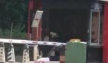 男子當(dāng)街殺妻被刑拘 死者被刺20多刀 真相揭露真的令人大吃一驚