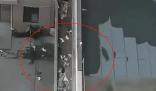 天津一小區15只貓墜亡 警方回應 真相揭露真的令人大吃一驚