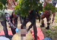 老人失蹤4天在鱷魚胃中發(fā)現(xiàn)遺骸 真相離奇讓人直呼太意外
