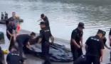 4名學生下河游泳溺亡 知情人:為慶生 真相到底是什么?