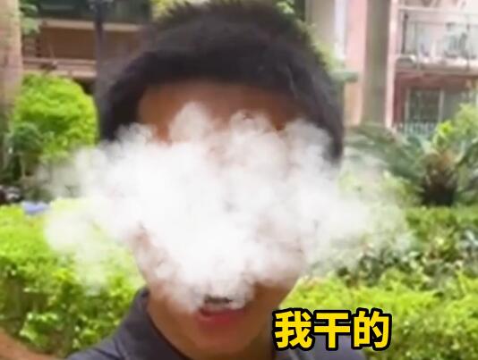 男子射殺流浪貓被質(zhì)問時囂張承認(rèn) 真相離譜實(shí)在是太荒唐了 