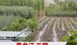 五常大米產地被淹 農戶哽咽:全完了 結果真的令人大吃一驚