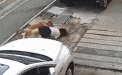 金毛撲倒女子事件雙方已和解 結(jié)果真的令人大吃一驚