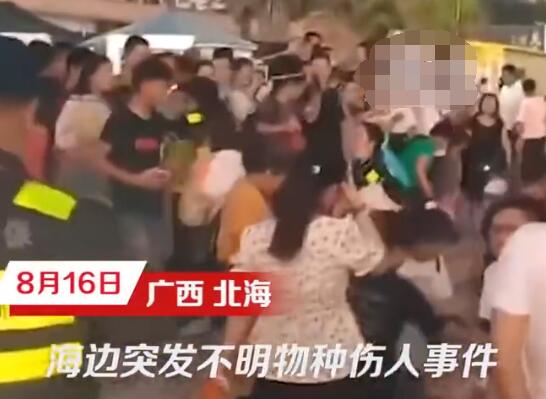 科普博主談北海咬傷游客事件 真相到底是什么?