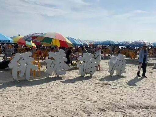 專家稱北海咬傷多人魚類不是鯊魚 背后真相簡(jiǎn)直驚呆了眾人 