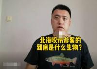 科普博主談北海咬傷游客事件 真相到底是什么?