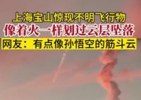 上?，F不明飛行物 似火球般高速墜落 真相簡直太恐怖了