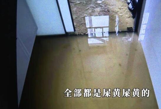 新房五天遭糞水淹兩次 業(yè)主崩潰 低樓層十幾戶都出現(xiàn)了糞水倒灌問題