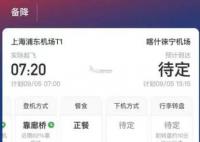 客機飛行時發現老鼠 備降蘭州 背后真相實在讓人驚愕