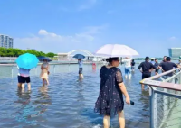 廈門(mén)沿海出現(xiàn)天文大潮 這也太好看了吧