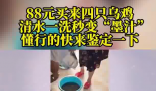 88元網購的4只烏雞洗出一盆黑水 究竟是什么樣的？