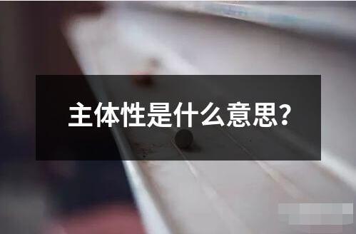 主體性是什么意思 主體性是指一個(gè)人或事物具有自我主導(dǎo)自我決定的能力和特征