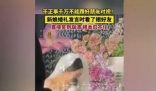 新娘發(fā)言時(shí)看了眼好友笑到崩潰 背后真相實(shí)在讓人崩潰