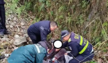 一家3口遇堵車 丈夫下車后離奇失蹤 內(nèi)幕曝光簡直太意外了