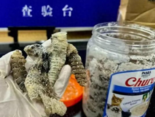 海關(guān)查獲1.2公斤生腌響尾蛇 背后真相實(shí)在讓人驚愕