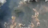黑龍江一水源地疑遭投毒 警方介入 真相簡直太恐怖了