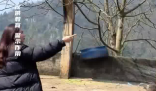 女子挑釁鴕鳥(niǎo)被一腳踹爛羽絨服 這也太罕見(jiàn)了