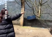 女子挑釁鴕鳥被一腳踹爛羽絨服 這也太罕見了
