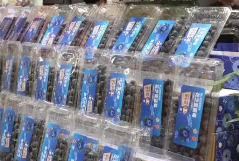 藍莓售價比去年便宜將近20% 這差距也太大了