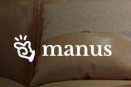 第一波用Manus賺錢的人出現(xiàn)了 背后真相實在讓人驚愕