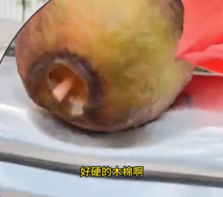小伙將車停在木棉樹下結果悲劇了 實在太意外了