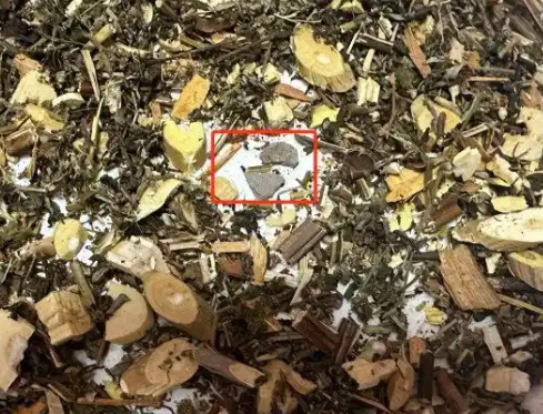網(wǎng)購(gòu)中藥泡腳包檢出大量病菌 為什么這么多病菌？