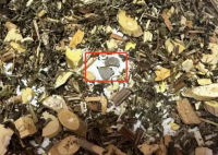 網(wǎng)購中藥泡腳包檢出大量病菌 為什么這么多病菌？