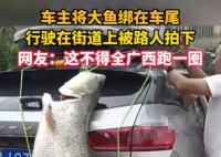 車主釣到巨型大魚綁車尾炫耀 成為了當(dāng)?shù)厝藗儾栌囡埡蟮恼勝Y