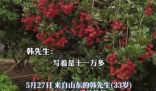 90后小伙拍下1300年荔枝樹采摘權 究竟是怎么回事？