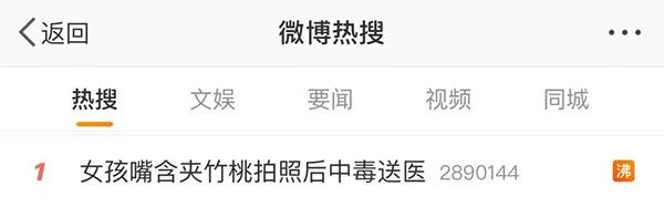 當心迷人的危險！為拍出“氛圍感”，女孩含夾竹桃后中毒！