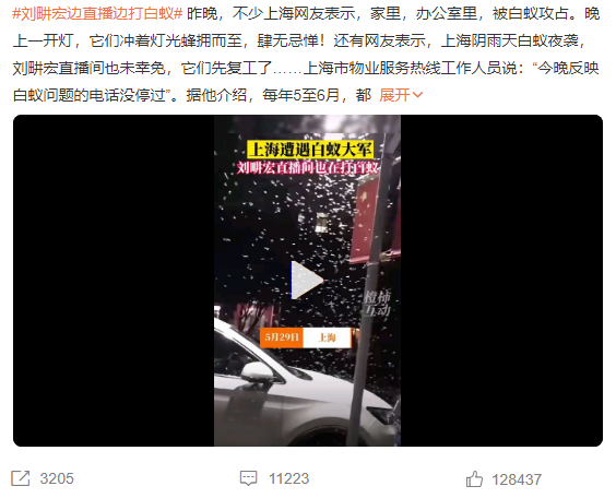 白蟻就是白色的螞蟻？
