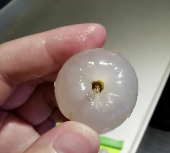 原來(lái)自己一直在吃荔枝蟲子？網(wǎng)友坐不住了……