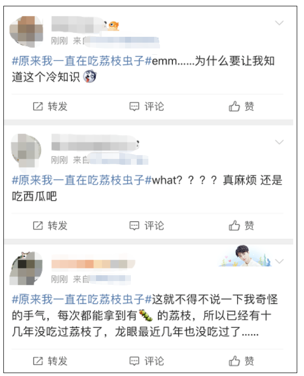 原來(lái)自己一直在吃荔枝蟲子？網(wǎng)友坐不住了……