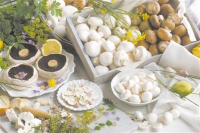 面對(duì)致命誘惑，怎樣成為“菇勇者”