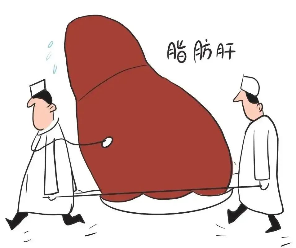 長期吃素就能避開脂肪肝？真相沒那么簡單……